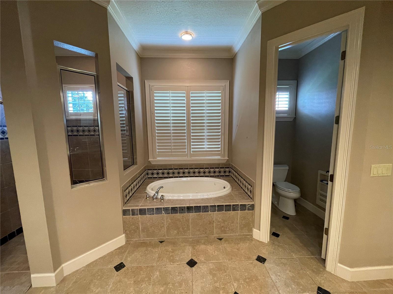 8122 WHITFORD CT, WINDERMERE, FL — photo 6