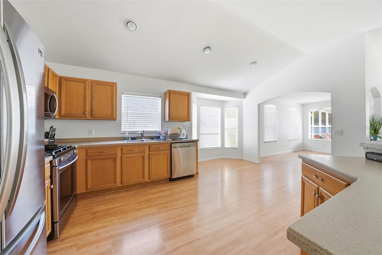 3511 GRAY WHETSTONE ST, BRANDON, FL — photo 18