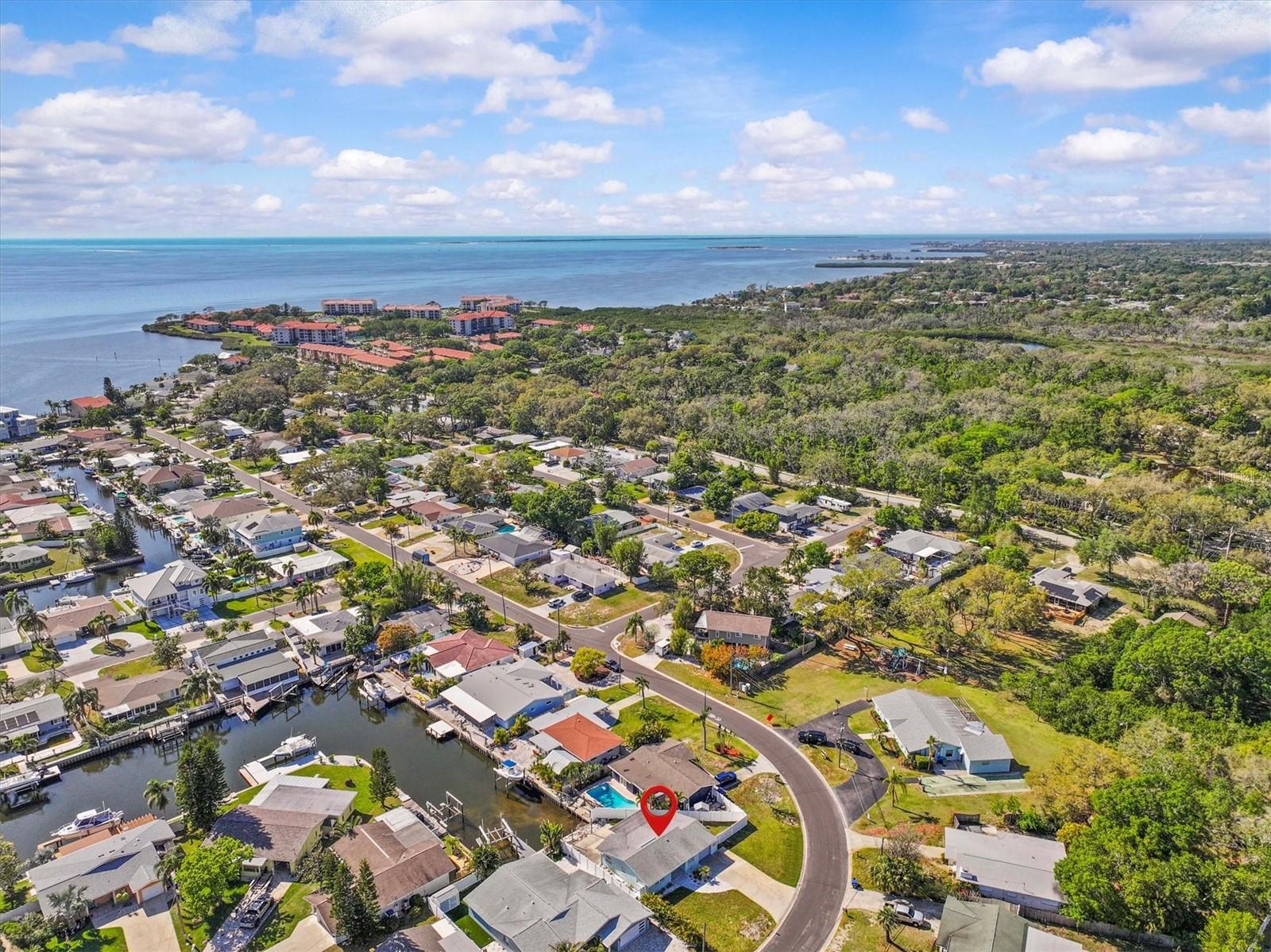 310 WESTWINDS DR, PALM HARBOR, FL — photo 35
