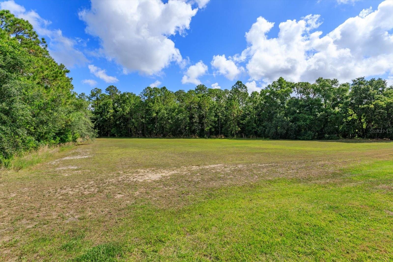 16201 CITRUS PKWY, CLERMONT, FL — photo 7
