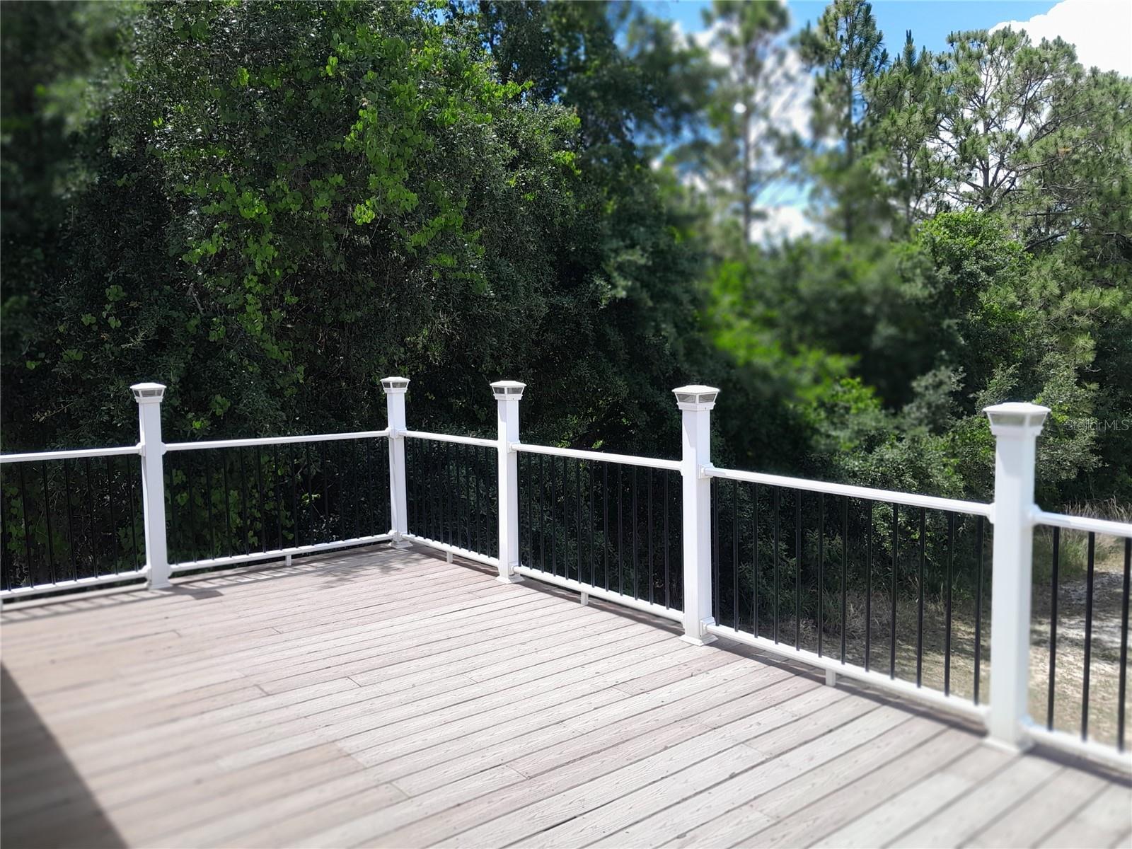 16201 CITRUS PKWY, CLERMONT, FL — photo 13