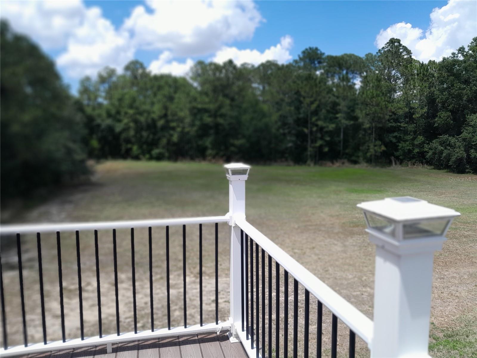 16201 CITRUS PKWY, CLERMONT, FL — photo 59