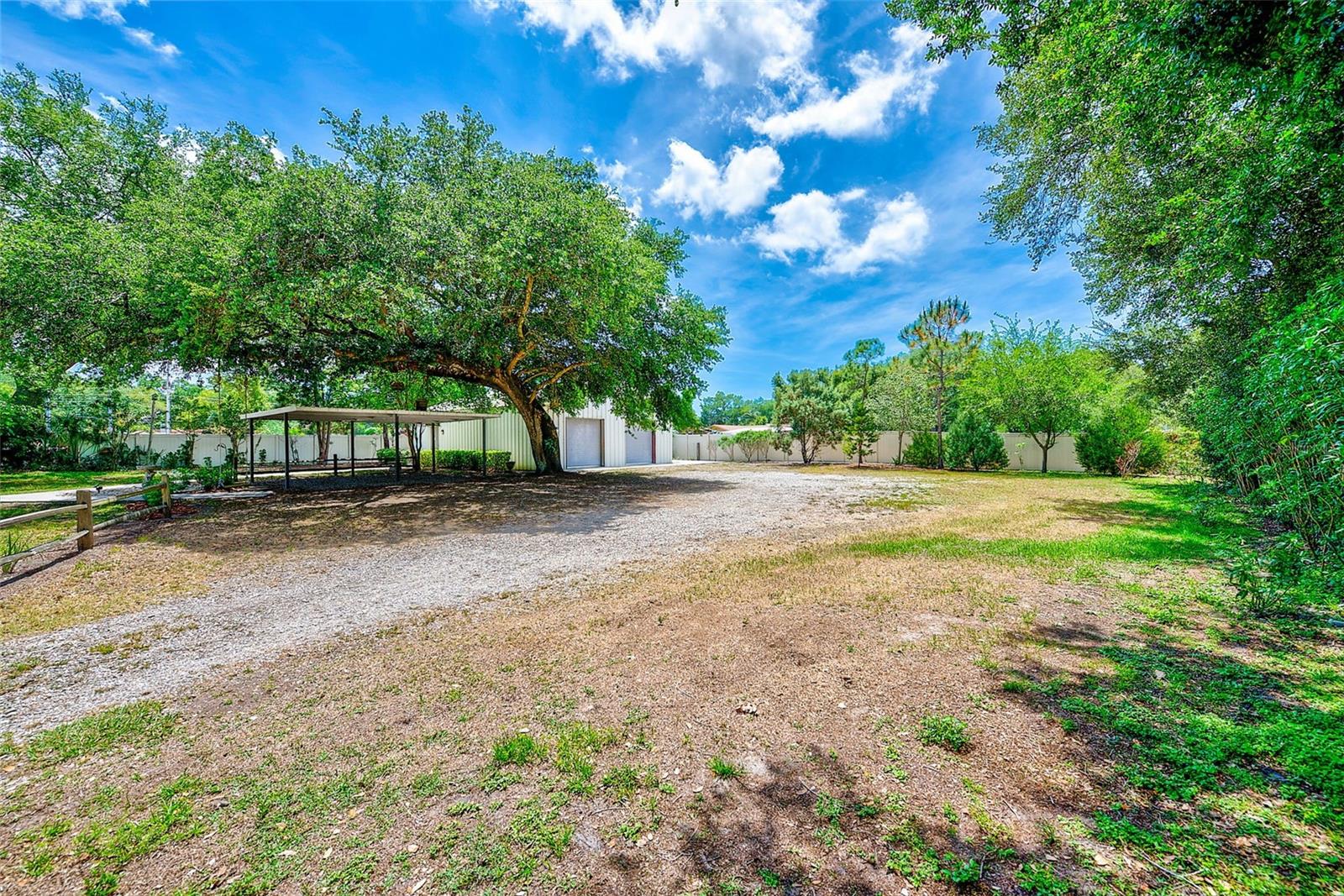 175 RIVIERE RD, PALM HARBOR, FL — photo 46