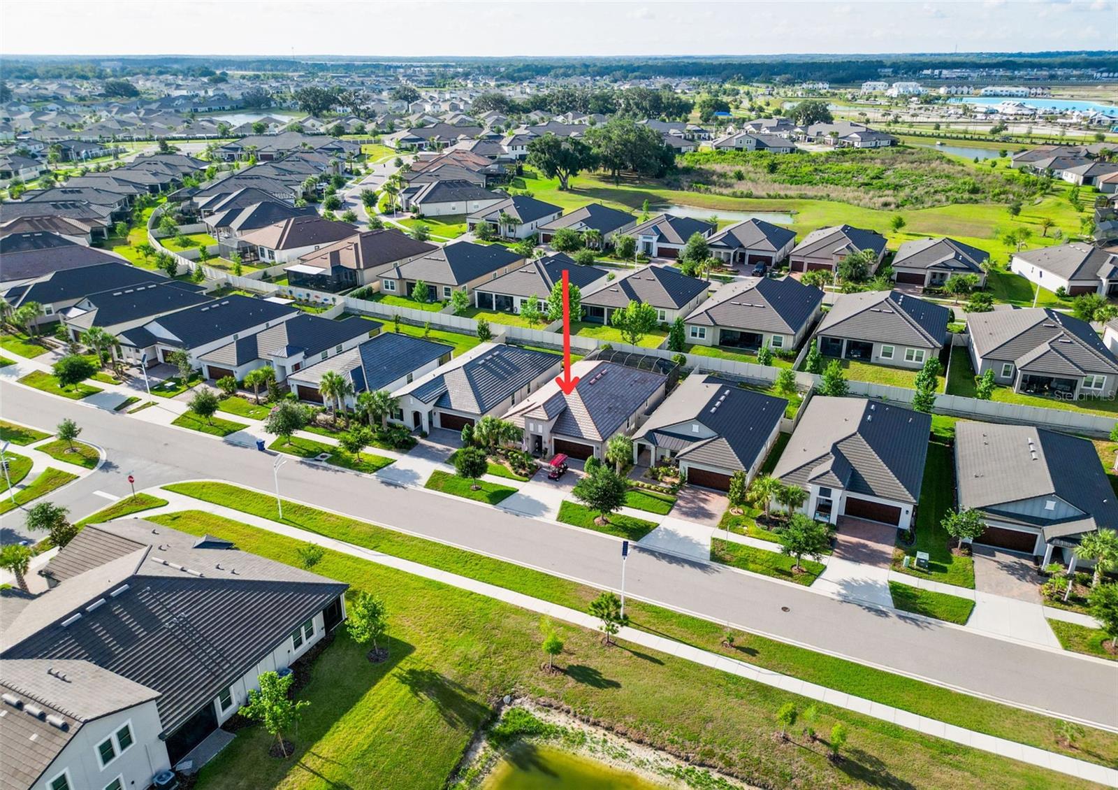 31527 CANNON RUSH DR, SAN ANTONIO, FL — photo 11