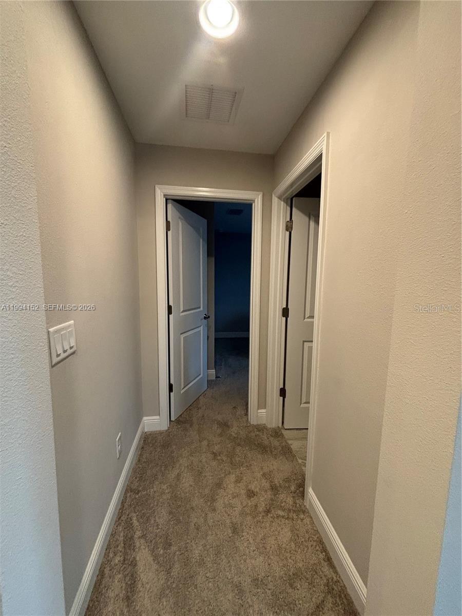 9173 WARM SPRINGS CIR, PARRISH, FL — photo 37