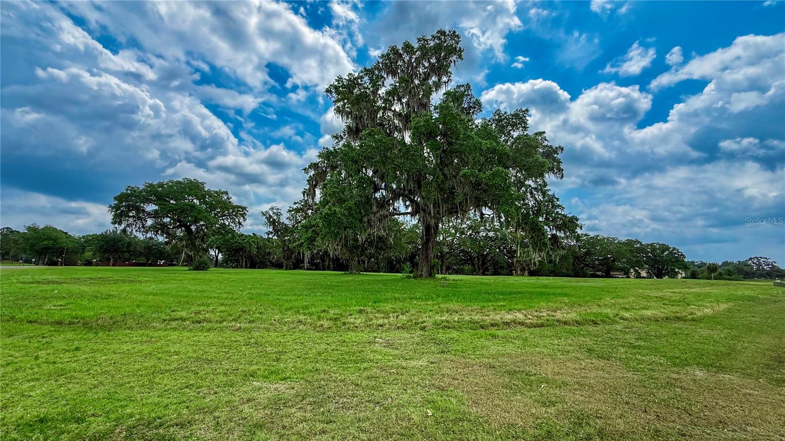 NW 17TH CIR, OCALA, FL — photo 2