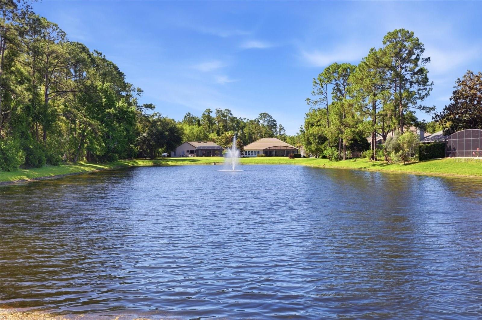 1064 CEASARS CT, MOUNT DORA, FL — photo 64