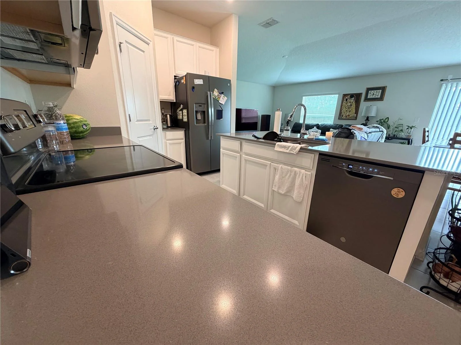 16419 GLASSY LOCH LOOP, CLERMONT, FL — photo 10