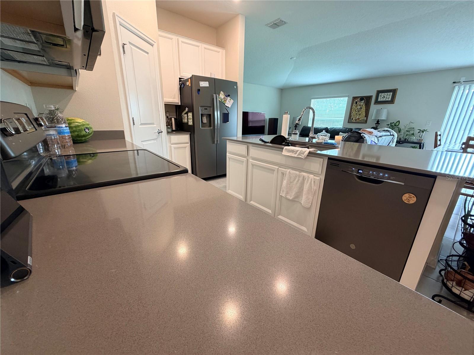 16419 GLASSY LOCH LOOP, CLERMONT, FL — photo 11