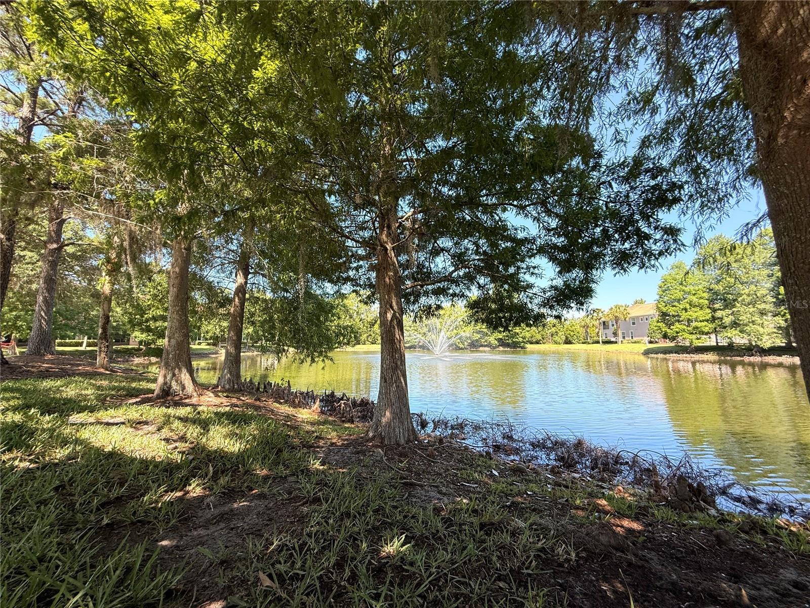 8363 BELLA TIERRA CT, DAVENPORT, FL — photo 13