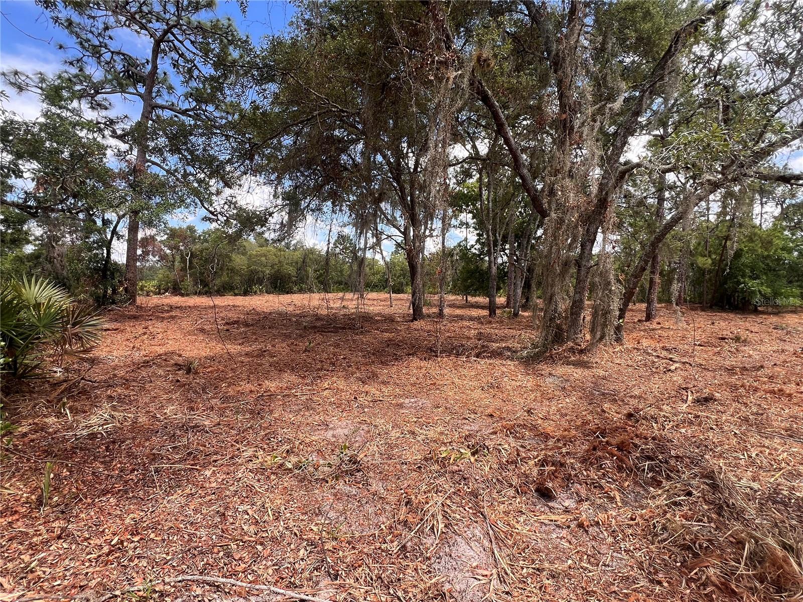 DEER RD, FROSTPROOF, FL — photo 2
