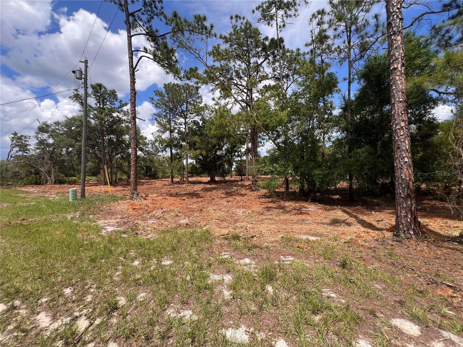 DEER RD, FROSTPROOF, FL — photo 3
