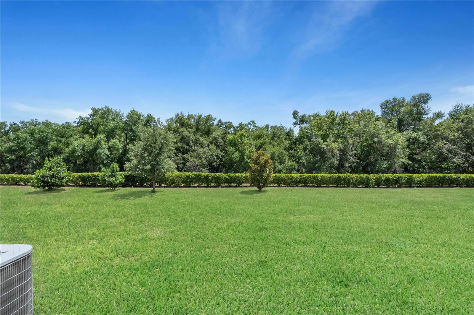 1809 HOLDEN RIDGE LN, CLERMONT, FL — photo 77