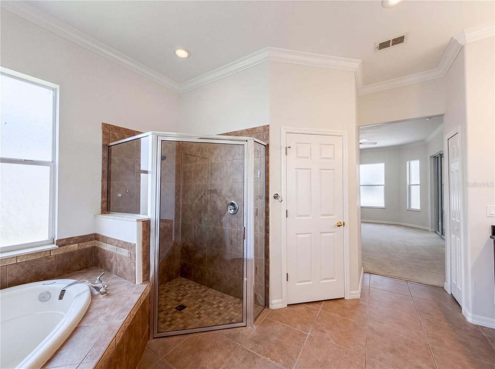 10408 LAGO LOUISA CT, CLERMONT, FL — photo 40
