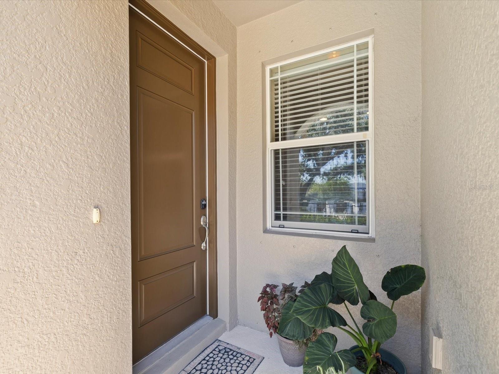 450 HARBOR SPRINGS DR, PALM HARBOR, FL — photo 4