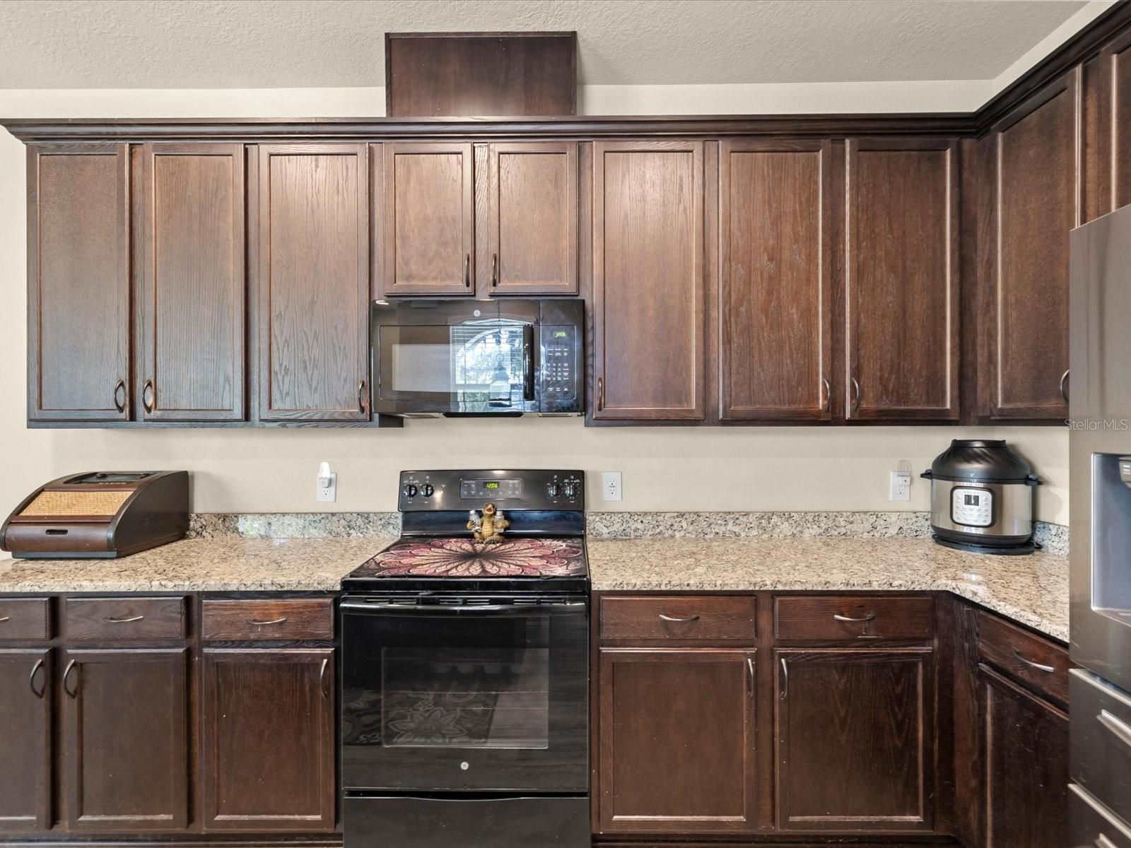 450 HARBOR SPRINGS DR, PALM HARBOR, FL — photo 10