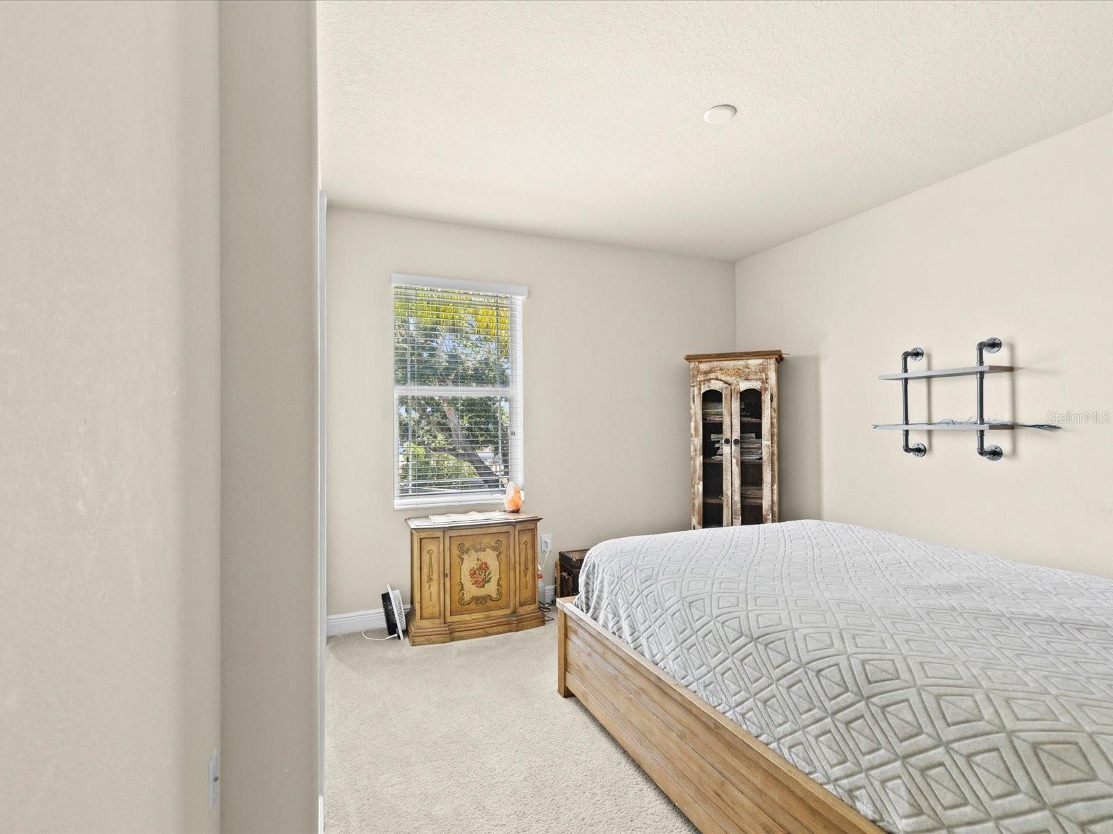 450 HARBOR SPRINGS DR, PALM HARBOR, FL — photo 24