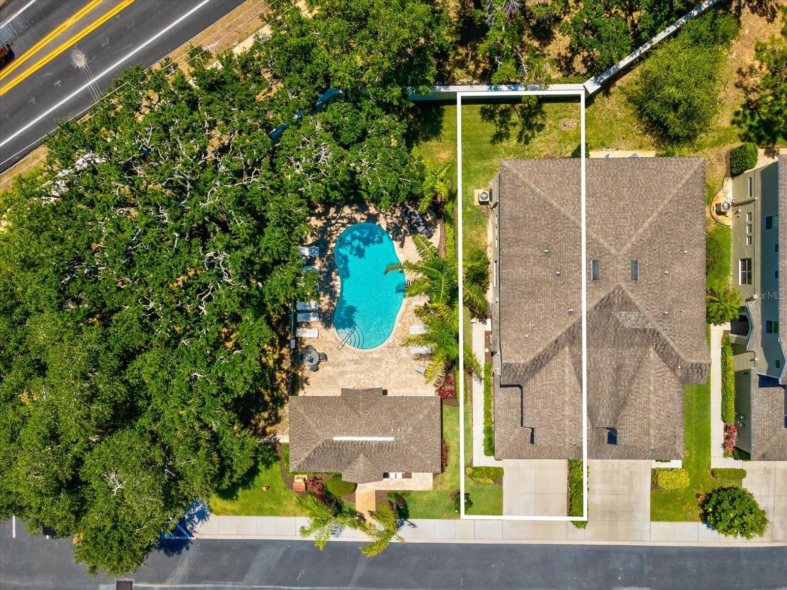 450 HARBOR SPRINGS DR, PALM HARBOR, FL — photo 42