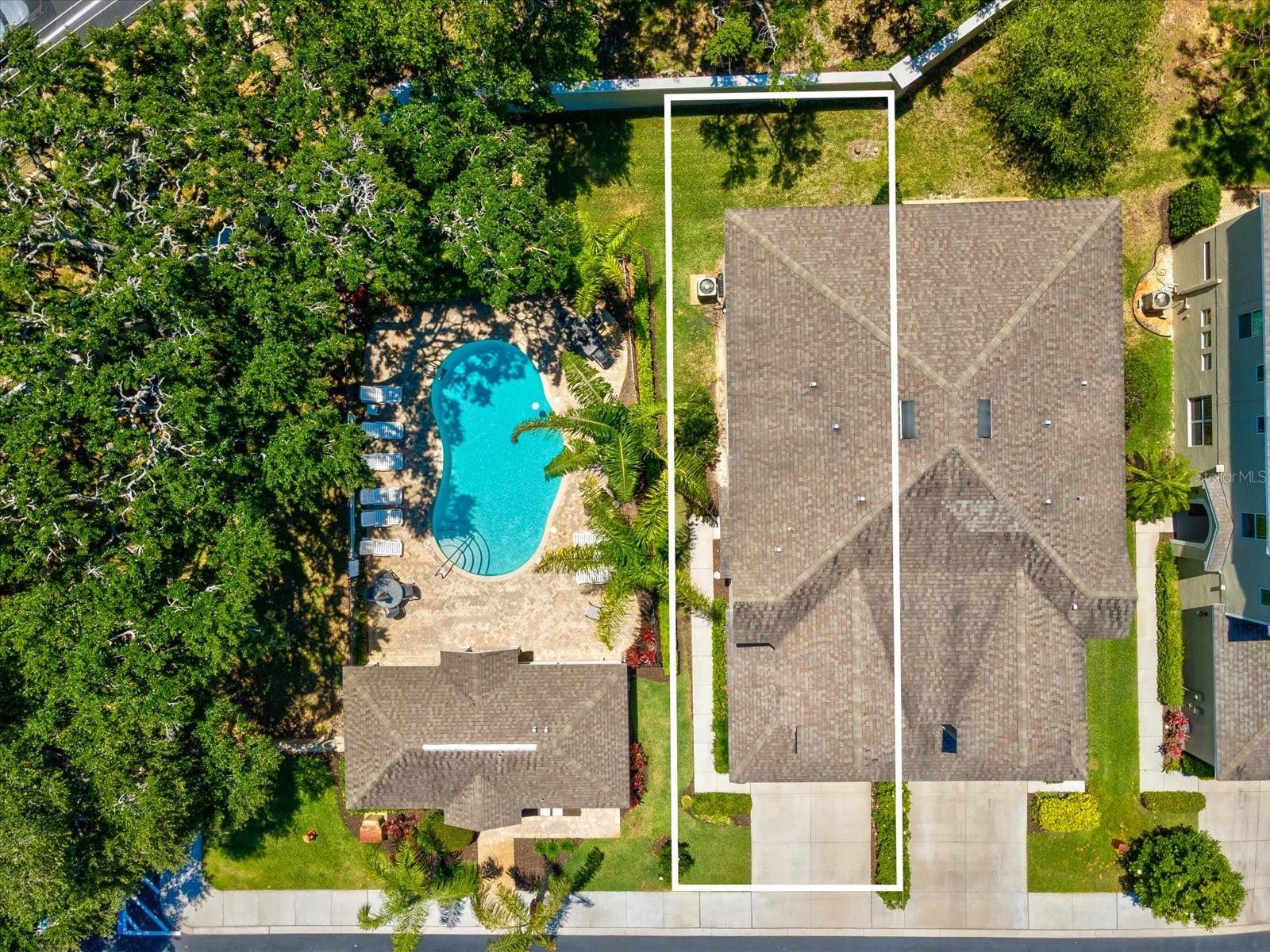 450 HARBOR SPRINGS DR, PALM HARBOR, FL — photo 44