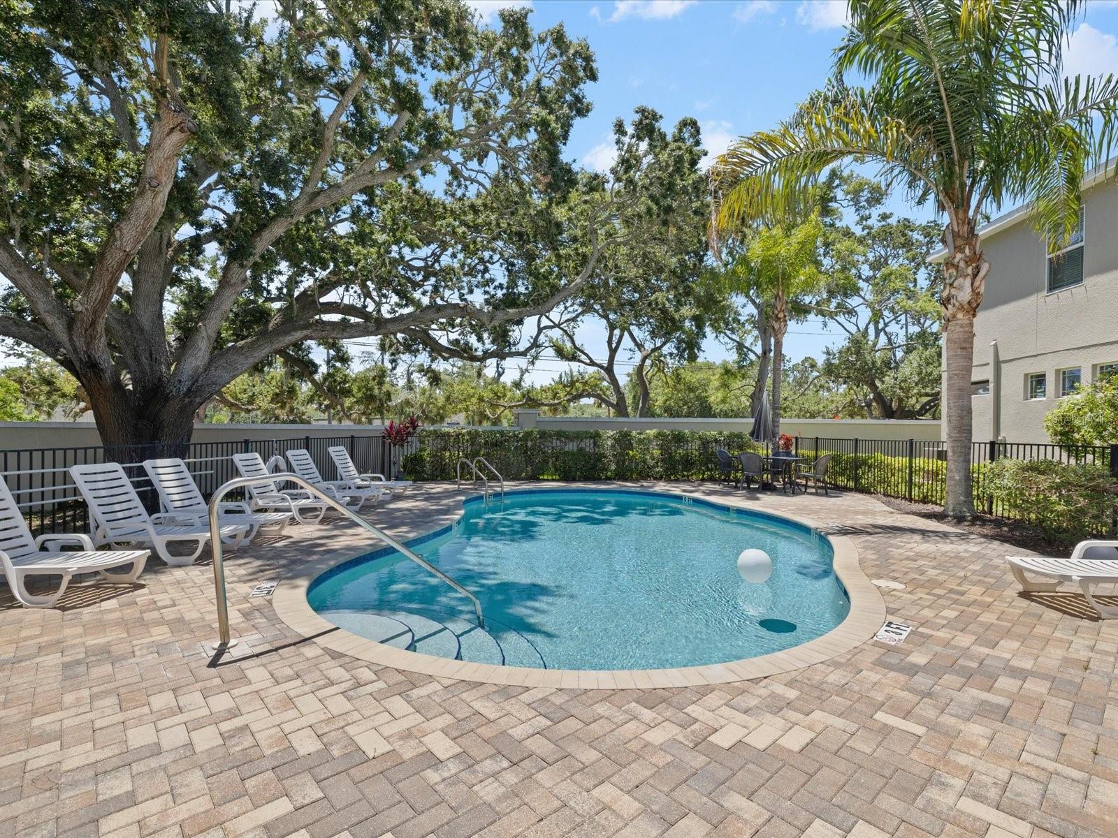 450 HARBOR SPRINGS DR, PALM HARBOR, FL — photo 47