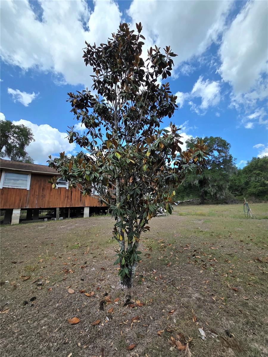 27440 WINCHESTER DR, BROOKSVILLE, FL — photo 11
