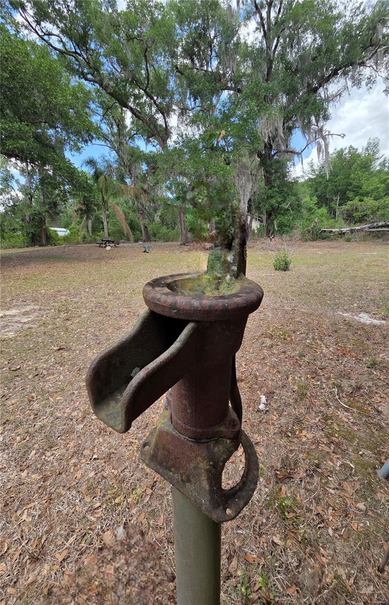 27440 WINCHESTER DR, BROOKSVILLE, FL — photo 13