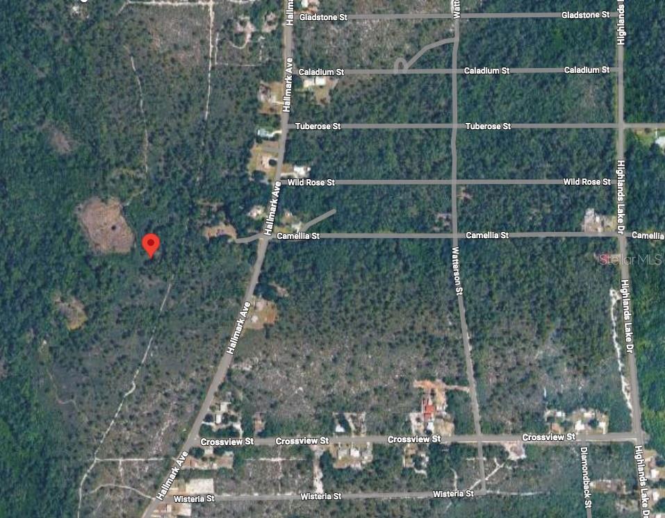734 DOLPHIN AVE, LAKE PLACID, FL — photo 2