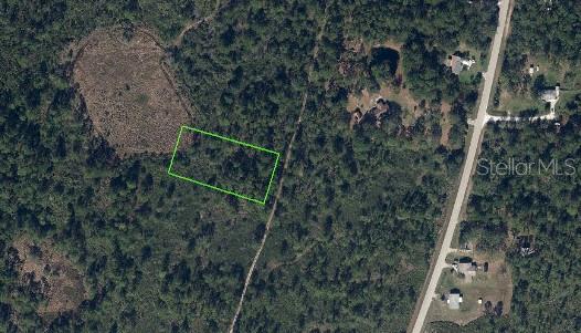 734 DOLPHIN AVE, LAKE PLACID, FL — photo 4