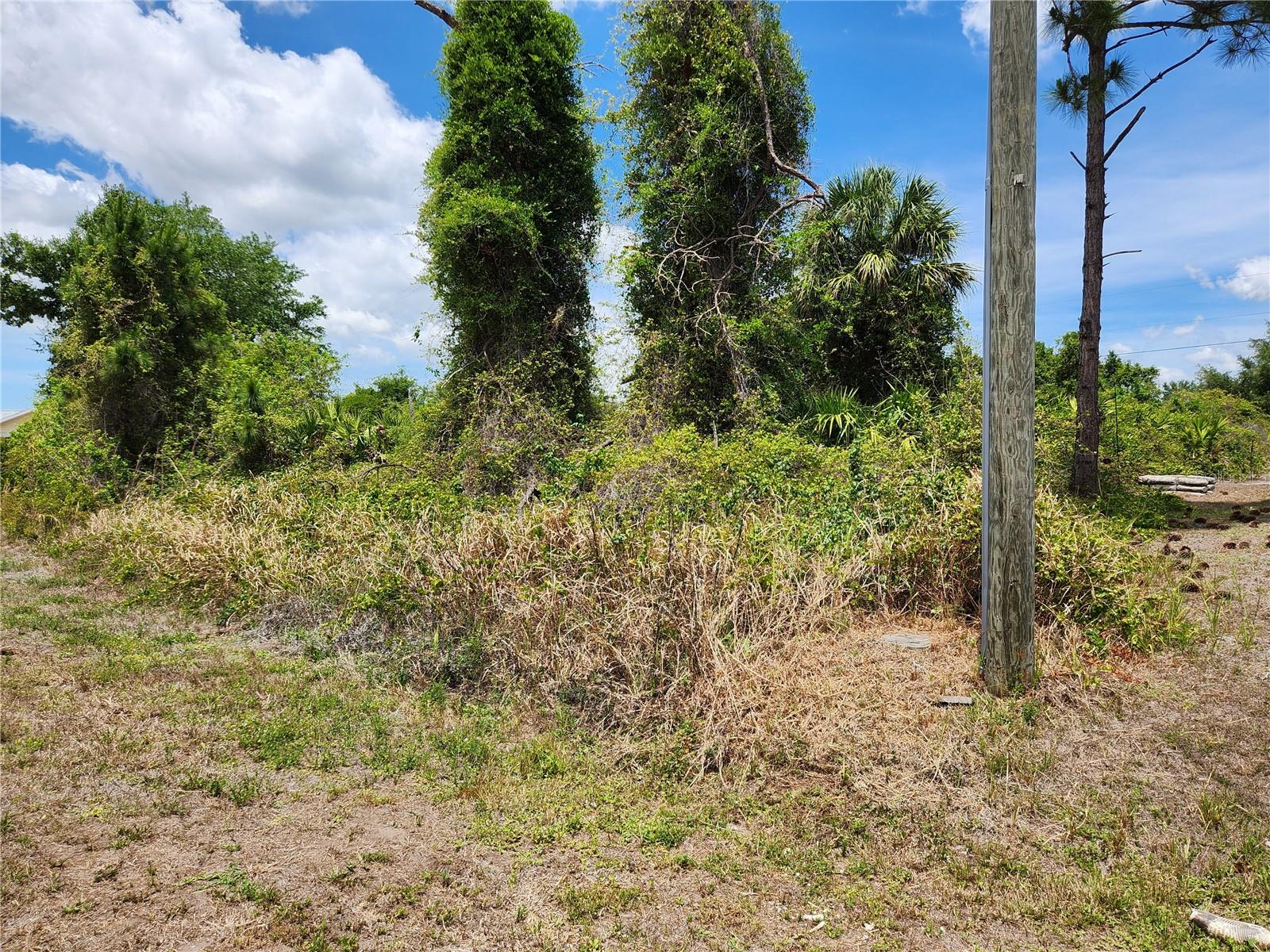 13128 FORESMAN BLVD, PORT CHARLOTTE, FL — photo 2
