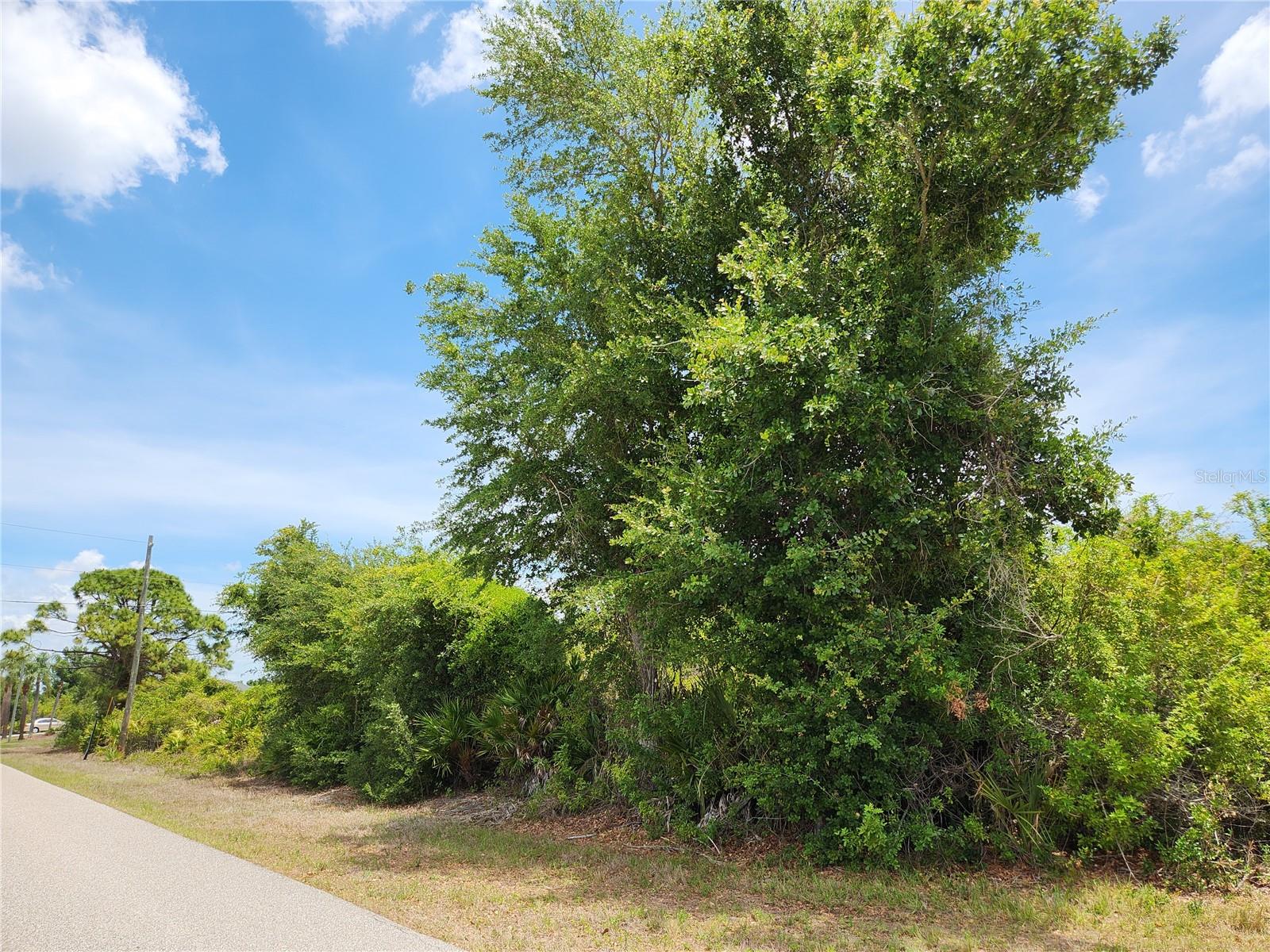 13128 FORESMAN BLVD, PORT CHARLOTTE, FL — photo 9