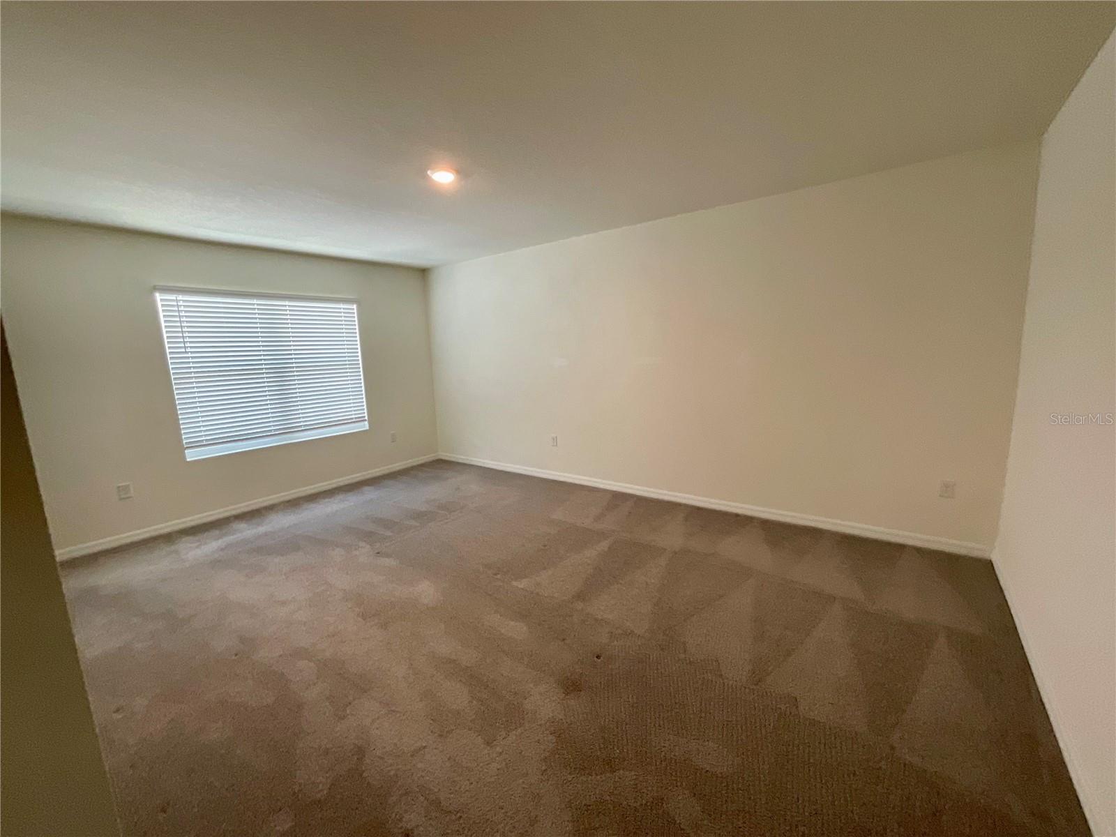 33409 FIELD MAPLE LOOP, WESLEY CHAPEL, FL — photo 14