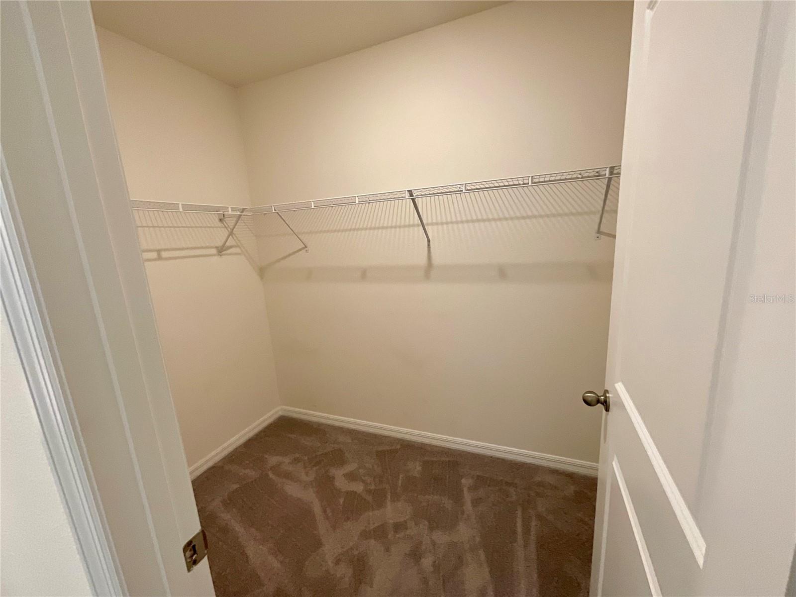 33409 FIELD MAPLE LOOP, WESLEY CHAPEL, FL — photo 19