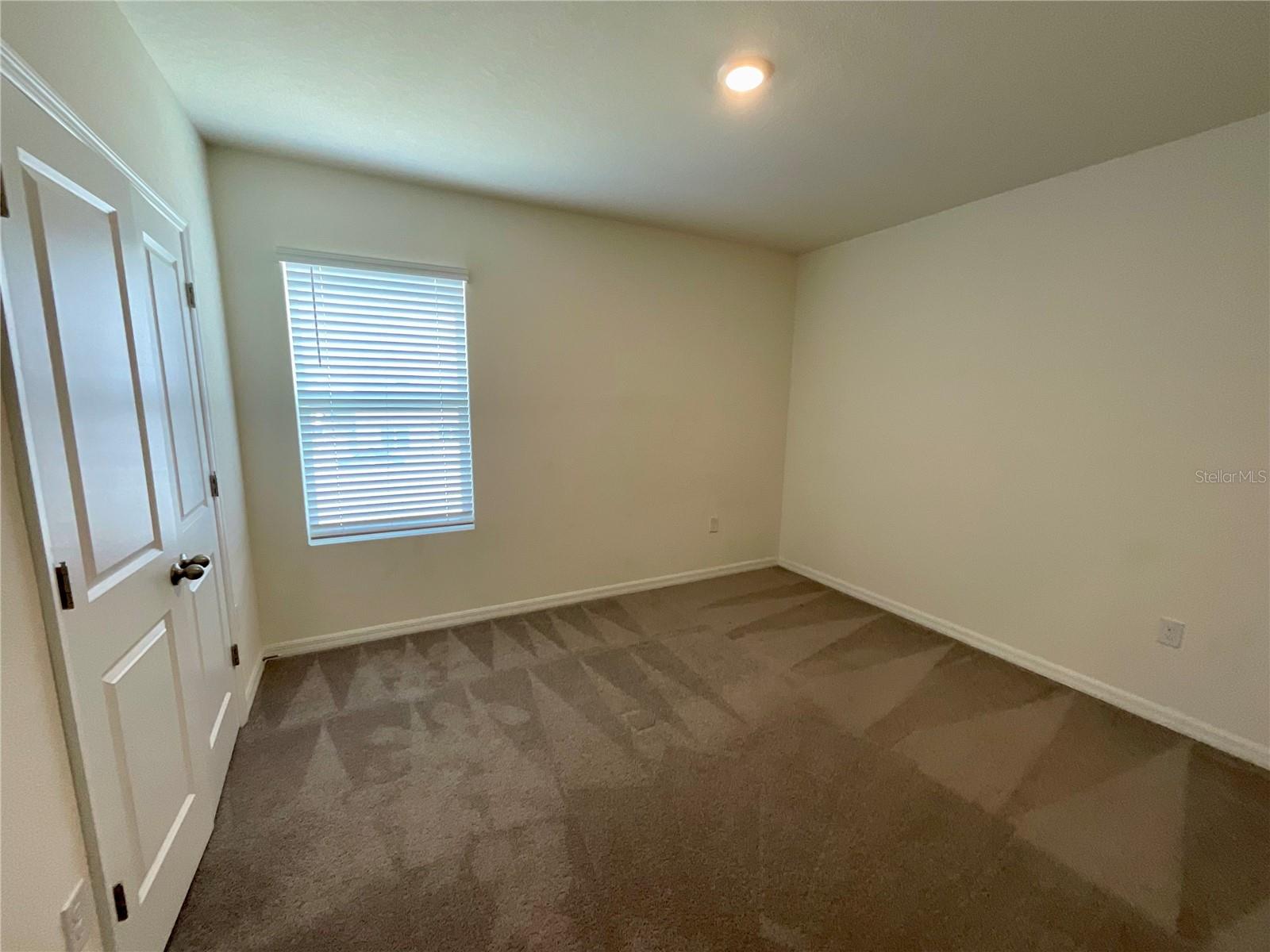 33409 FIELD MAPLE LOOP, WESLEY CHAPEL, FL — photo 25