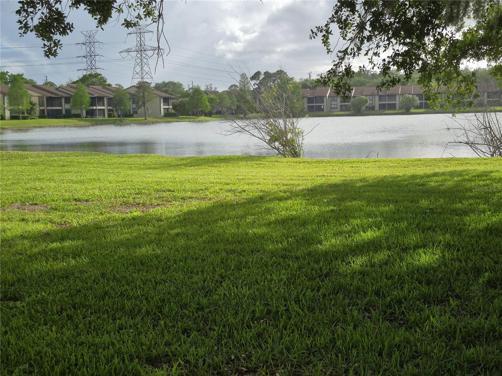 50 WOODLAKE PL, OLDSMAR, FL — photo 37