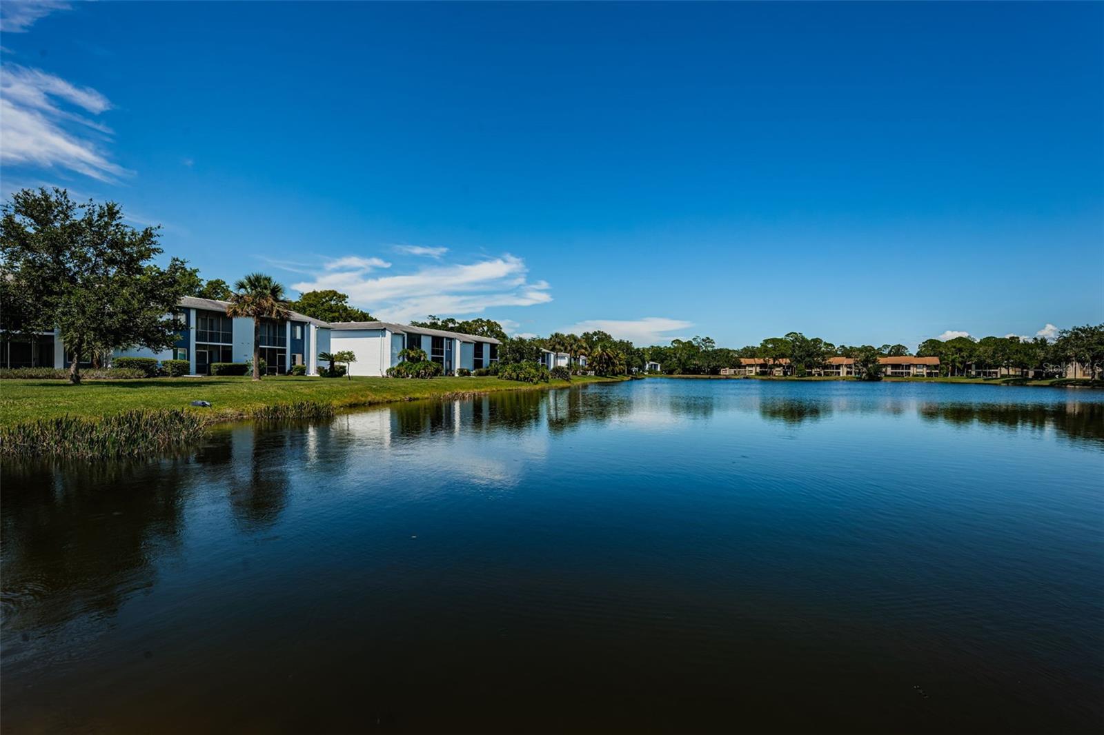 50 WOODLAKE PL, OLDSMAR, FL — photo 38
