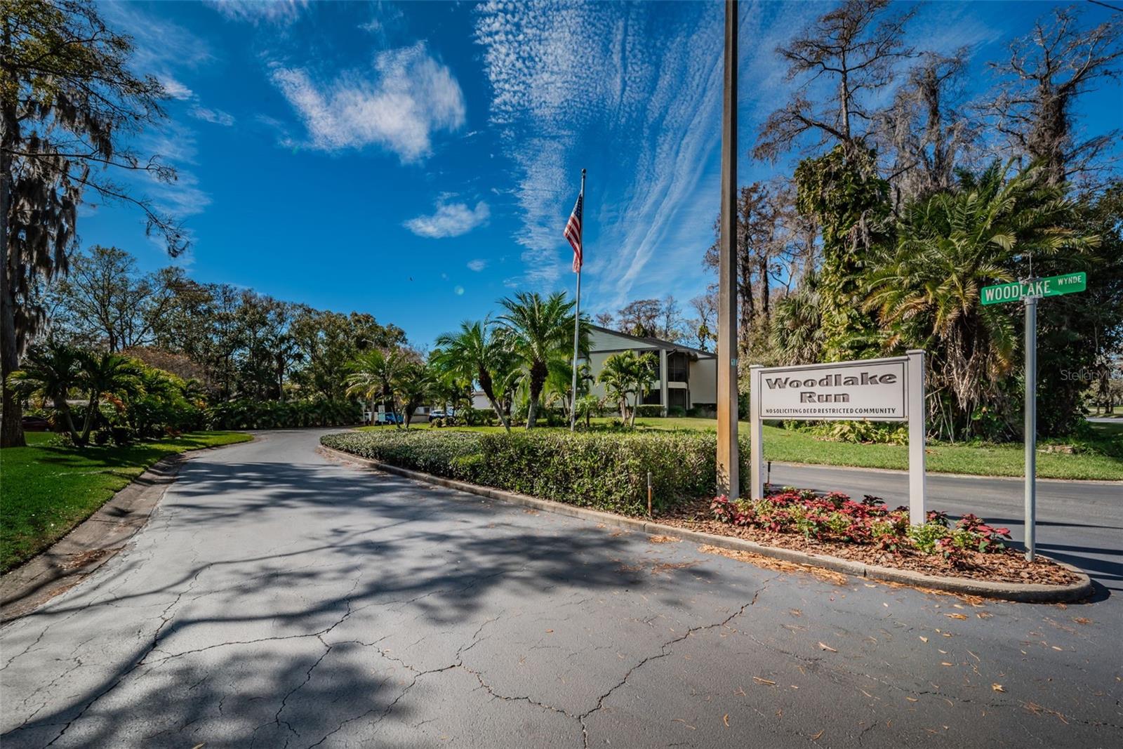 50 WOODLAKE PL, OLDSMAR, FL — photo 40