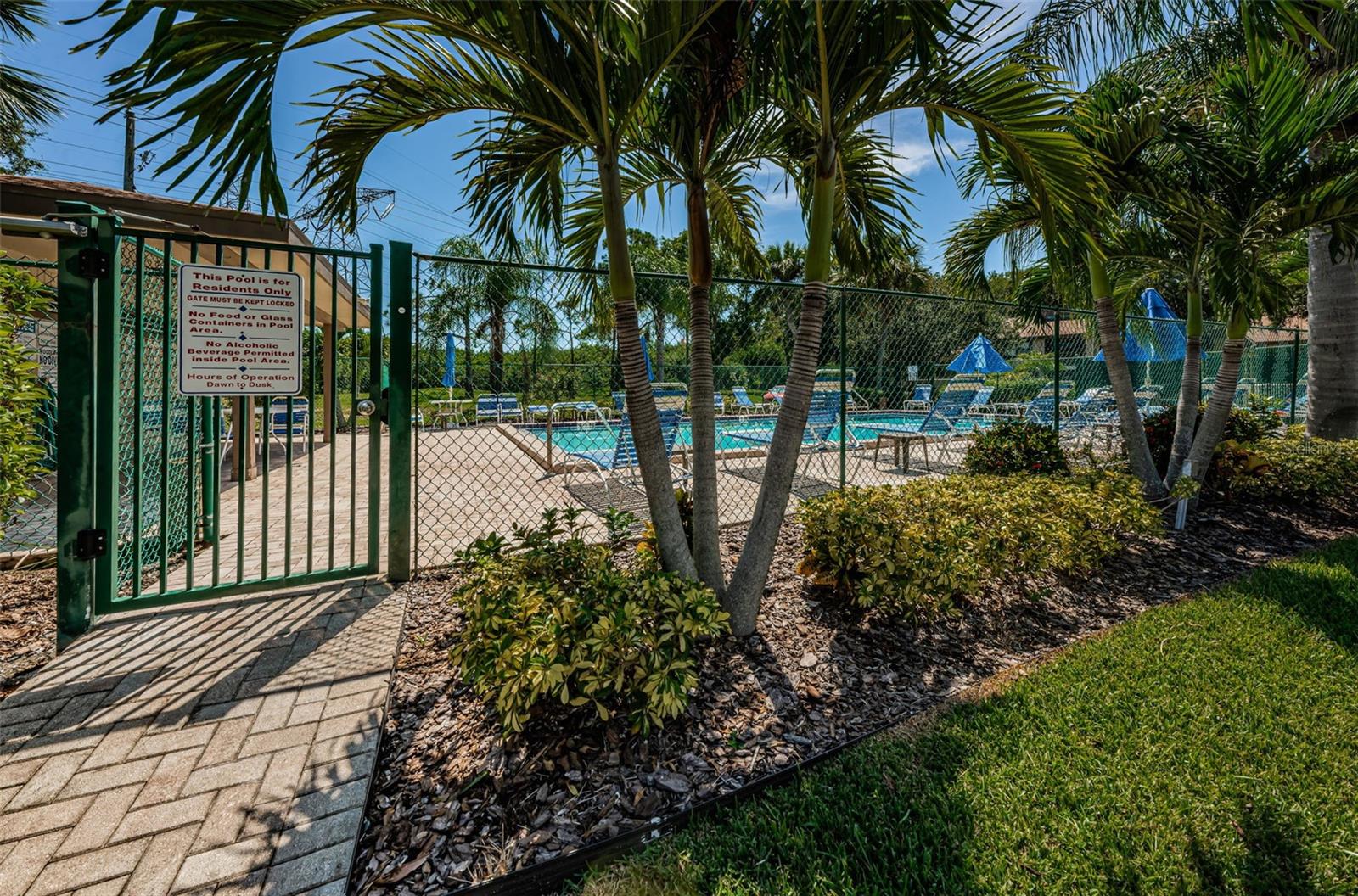 50 WOODLAKE PL, OLDSMAR, FL — photo 41