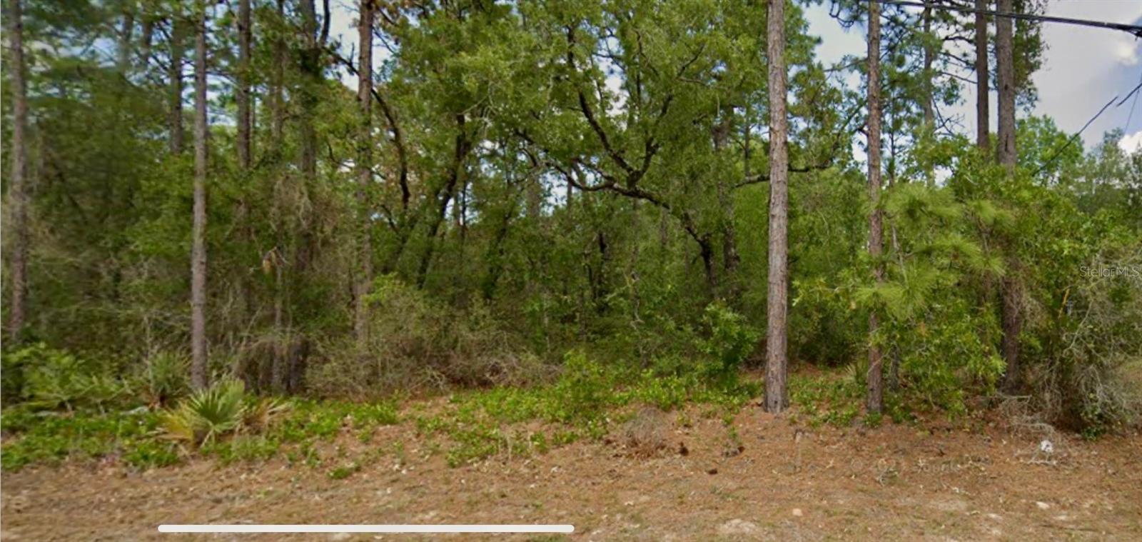 8550 N CITRUS SPRINGS BLVD, CITRUS SPRINGS, FL