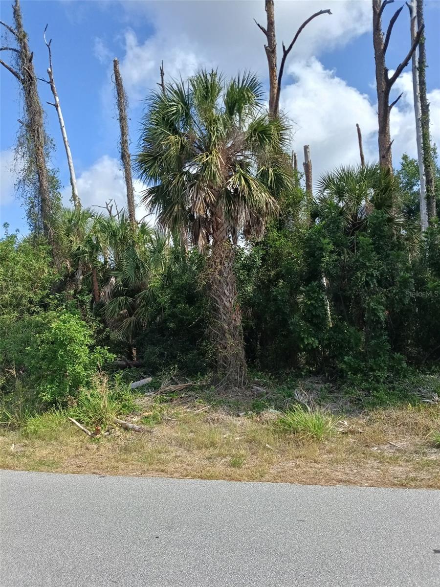 15082 COMMUNITY AVE, PORT CHARLOTTE, FL — photo 3