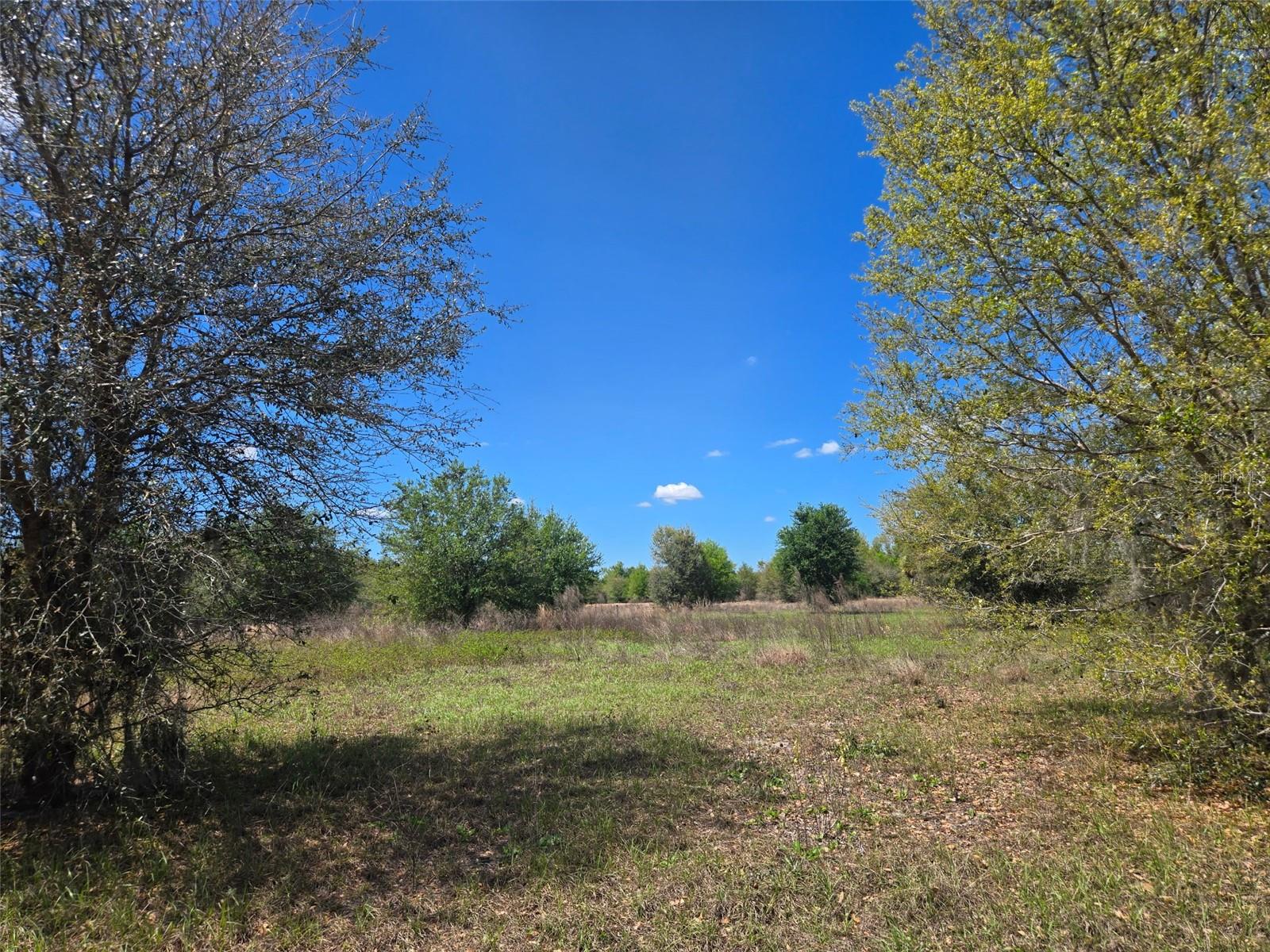 NW 70 HWY NW, ARCADIA, FL — photo 10