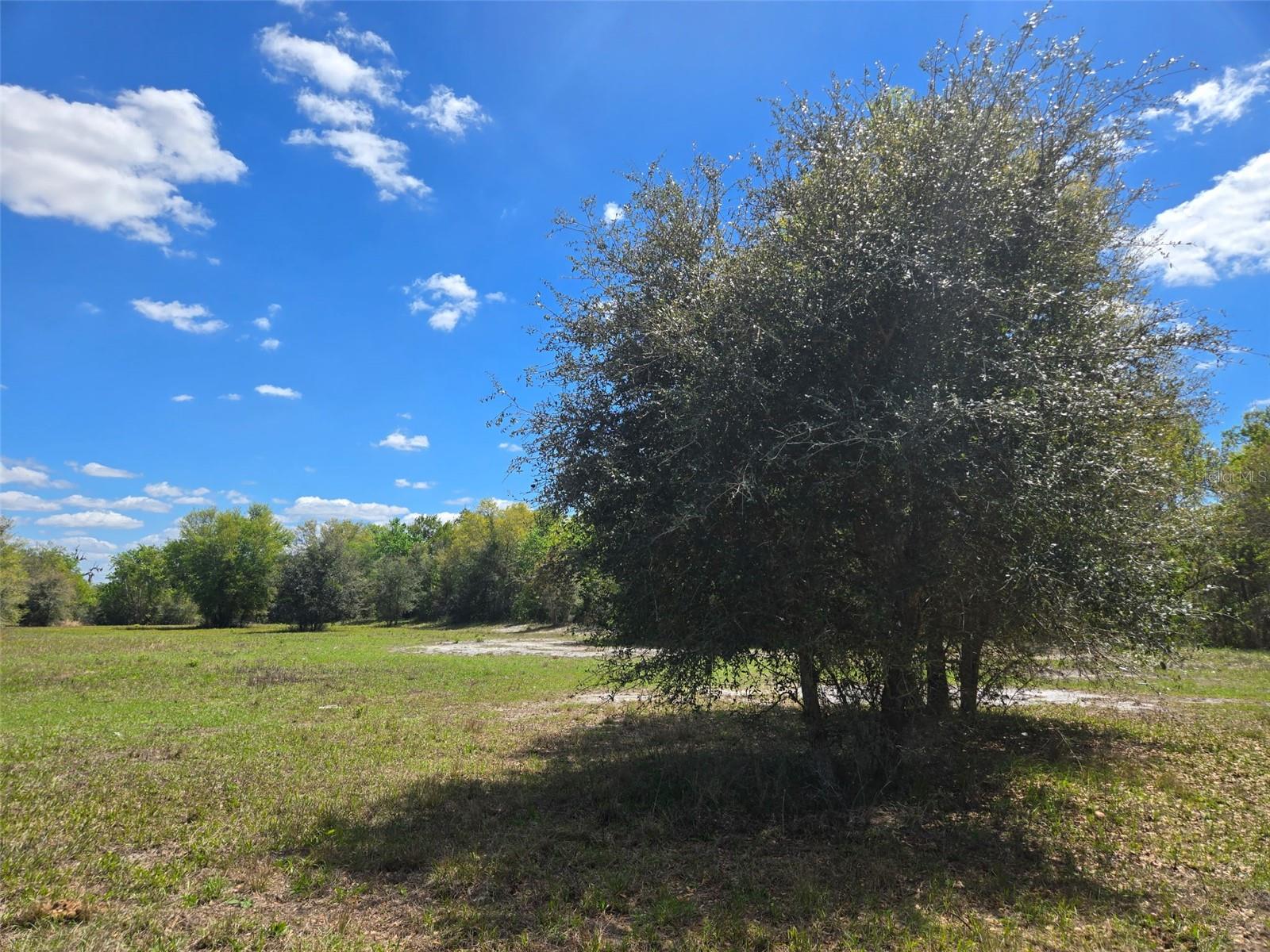 NW 70 HWY NW, ARCADIA, FL — photo 6