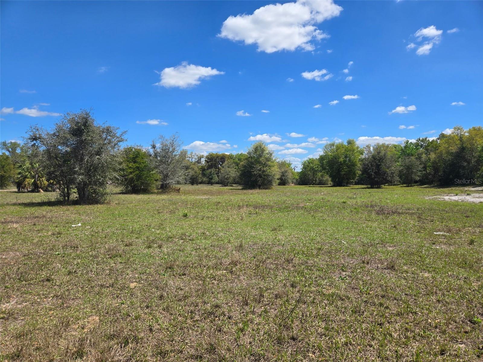 NW 70 HWY NW, ARCADIA, FL — photo 7