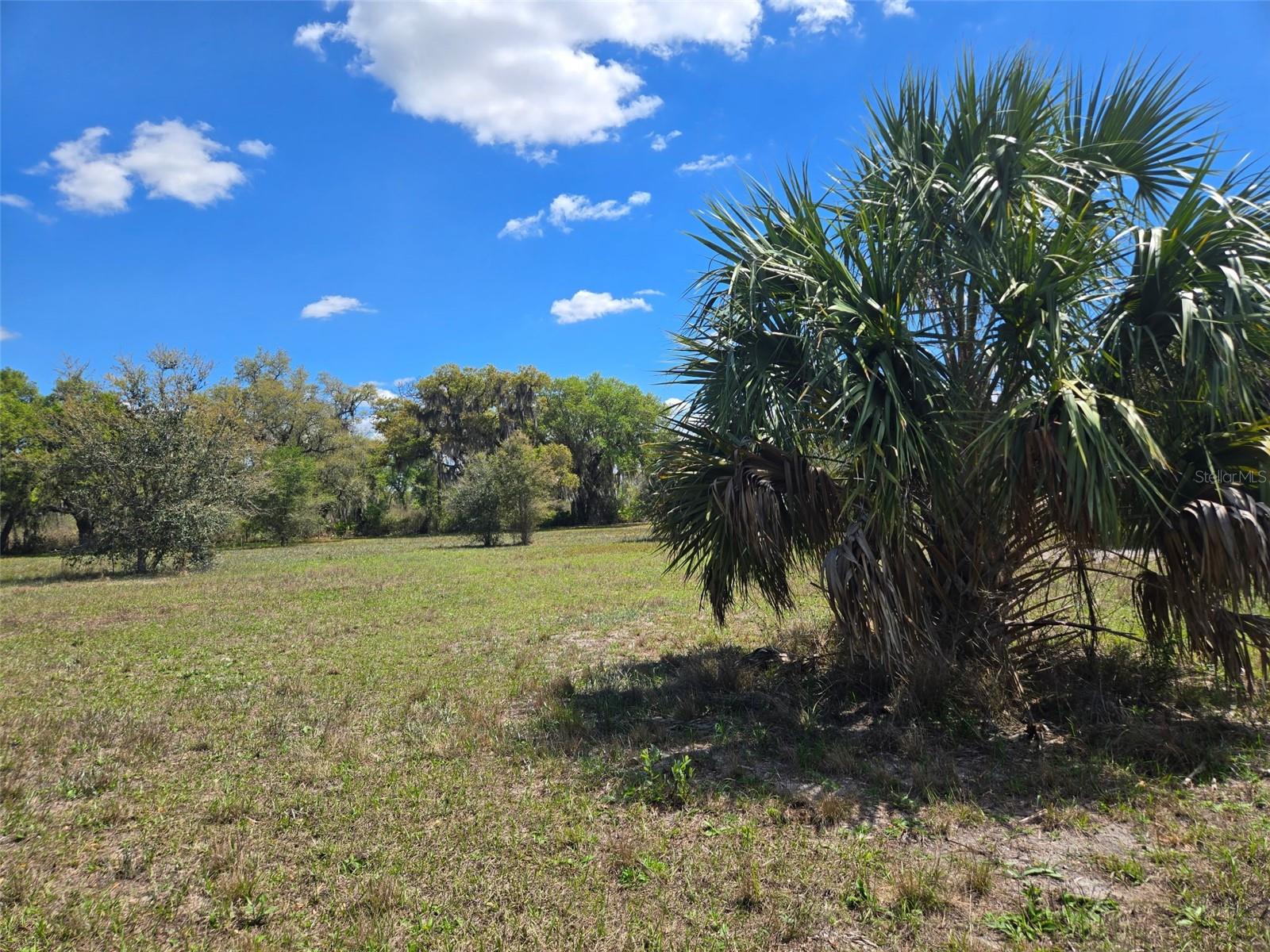 NW 70 HWY NW, ARCADIA, FL — photo 12