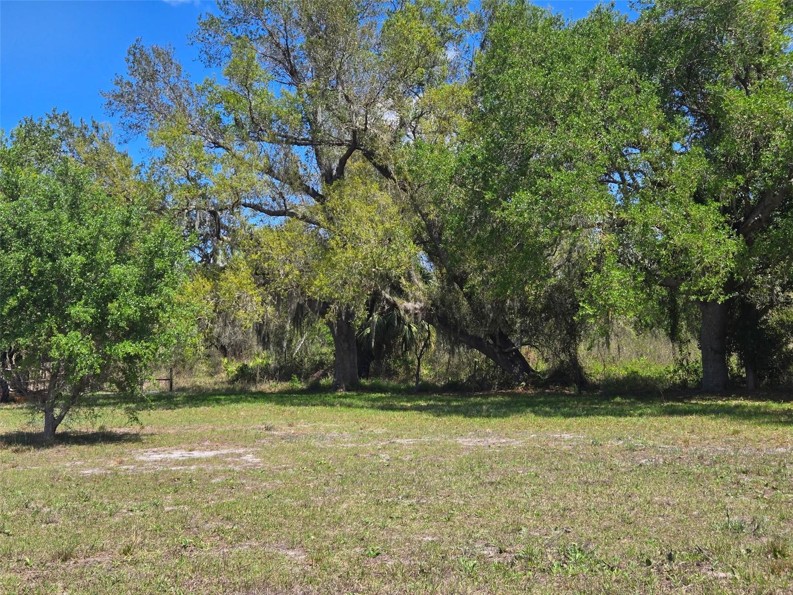 NW 70 HWY NW, ARCADIA, FL — photo 13
