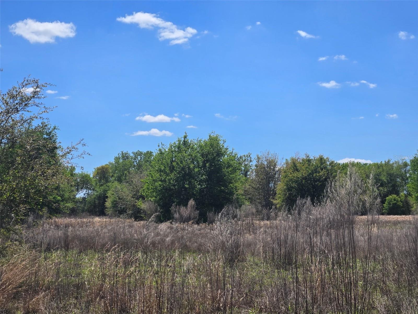 NW 70 HWY NW, ARCADIA, FL — photo 14