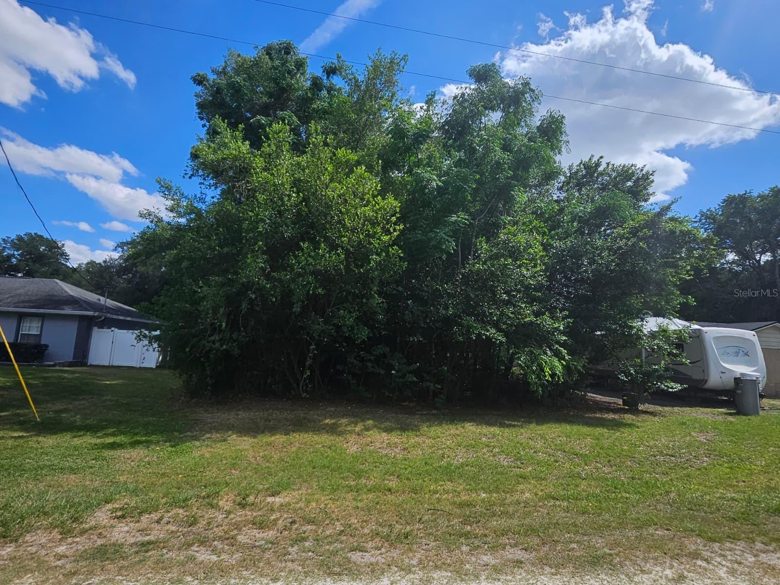 SE 140TH LN, SUMMERFIELD, FL — photo 3