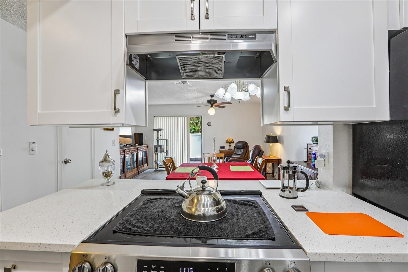 4005 OAK LIMB CT, TAMPA, FL — photo 5