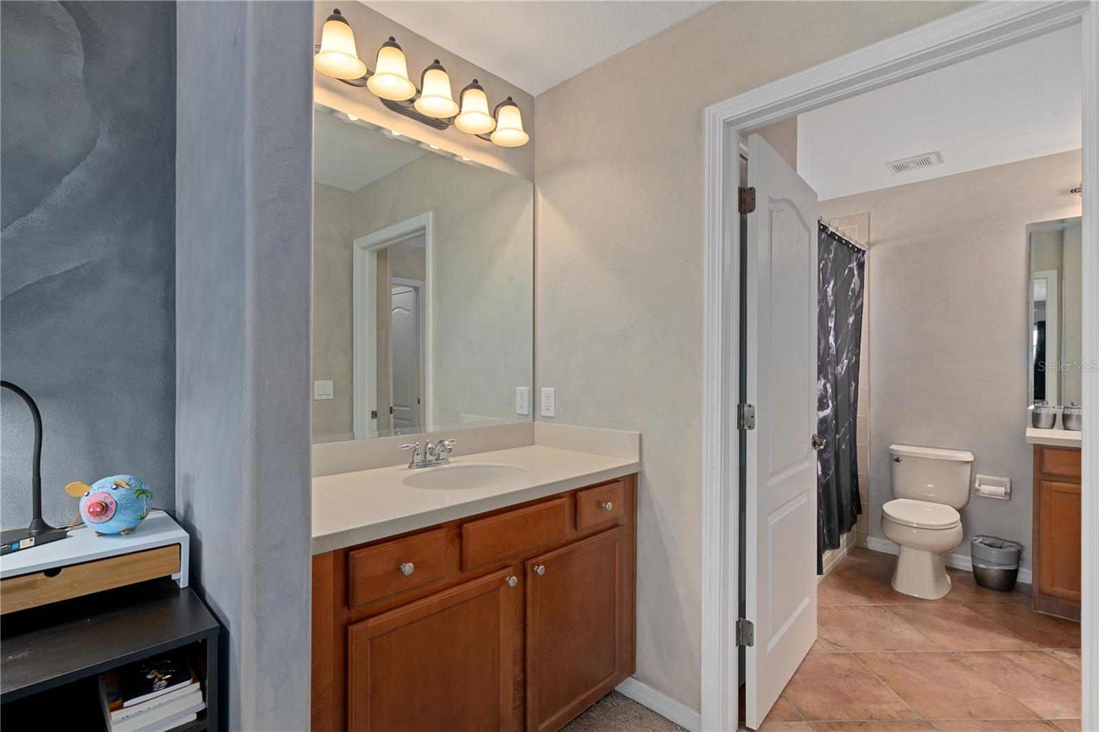 14807 PRINCEWOOD LN, LAND O LAKES, FL — photo 44