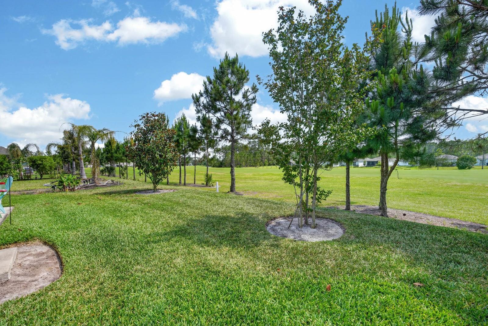 760 GRAND RESERVE DR, BUNNELL, FL — photo 24