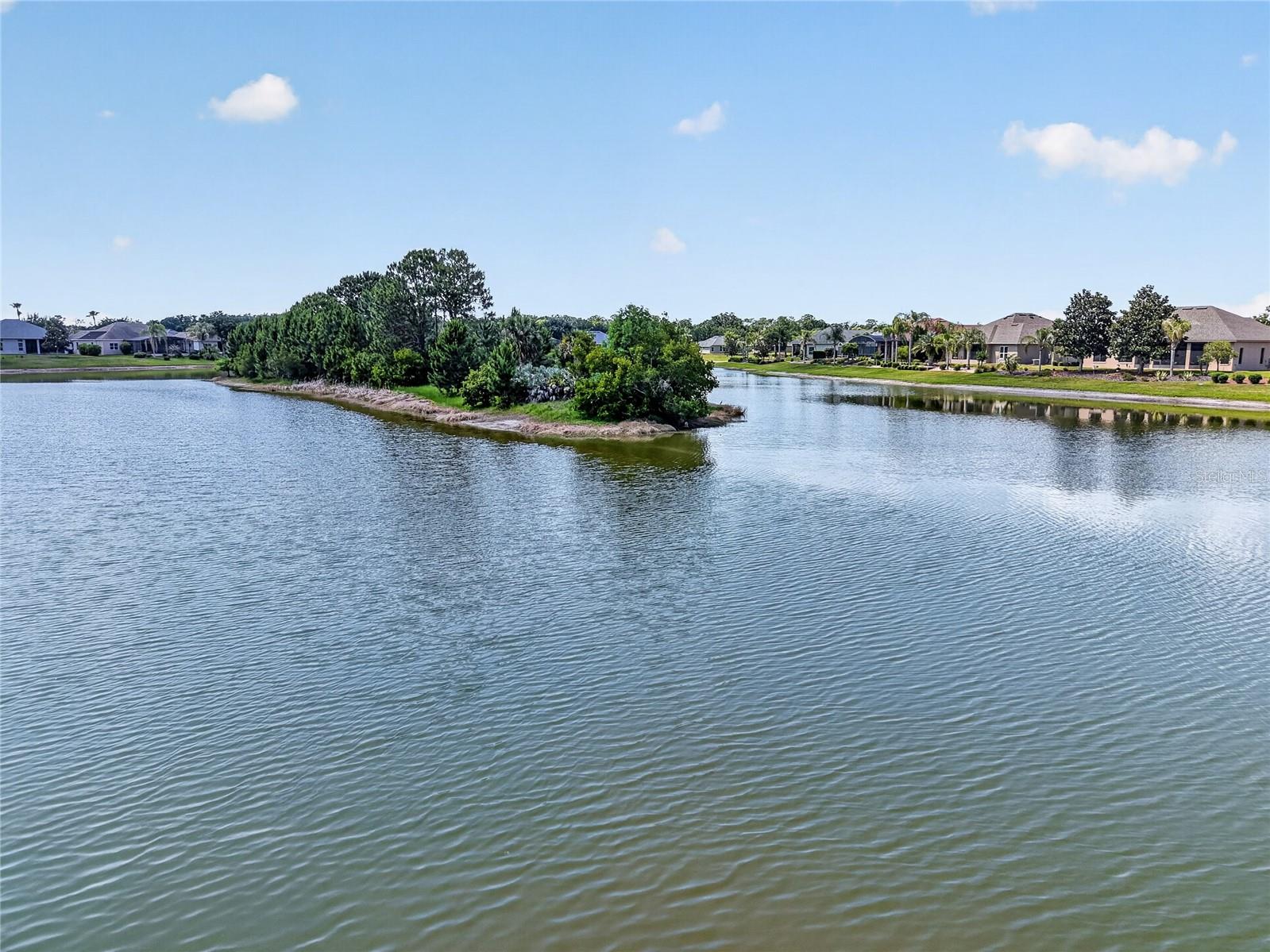 2327 WAKEFIELD WAY, MOUNT DORA, FL — photo 5